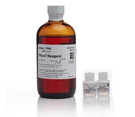 Набор TRIzol Max Bacterial RNA Isolation Kit